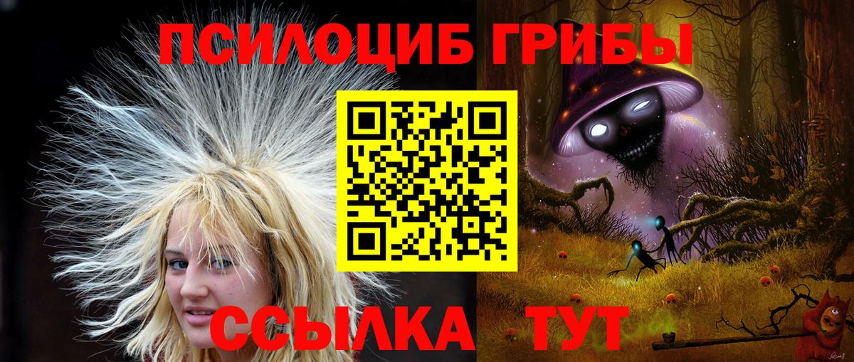 Галлюциногенные грибы Psilocybine cubensis Ейск