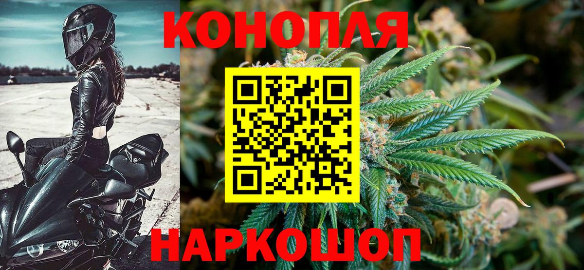 Каннабис OG Kush Ейск